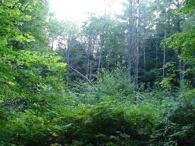 1st image of 5727 State Highway 29