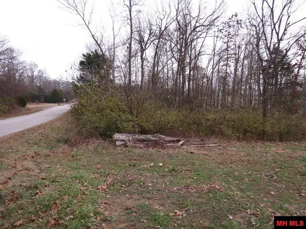 760-11982-000 Maple Ave, Bull Shoals, AR 72619