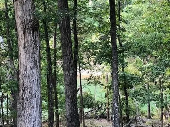 3884 Silver Brook Ln, Gainesville, GA 30506