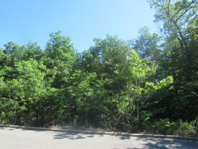 184 Ladybug Circle, Hollister, MO, 65672