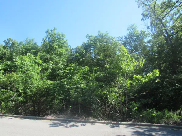 184 Ladybug Circle, Hollister, MO 65672