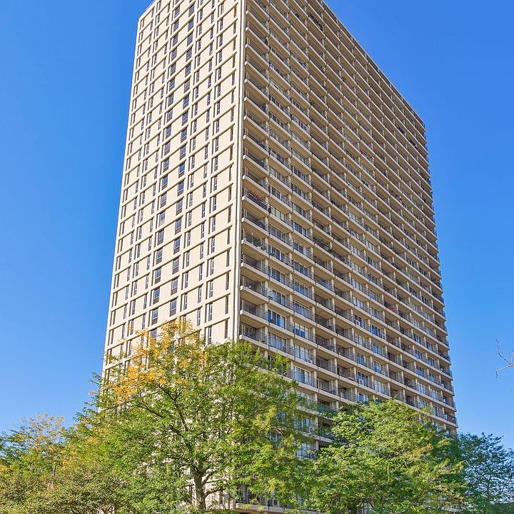 1st image of 1960 N Lincoln Park W APT 1601