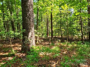 0 Blossom Rd, Brevard, NC 28712