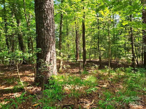 0 Blossom Rd, Brevard, NC 28712