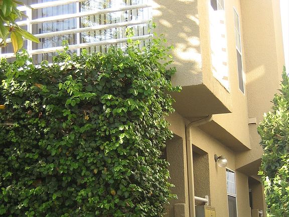 2nd image of 1366 Pacific Beach Dr APT 4