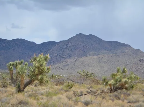 Y7 Holiday Rd, Yucca, AZ 86438