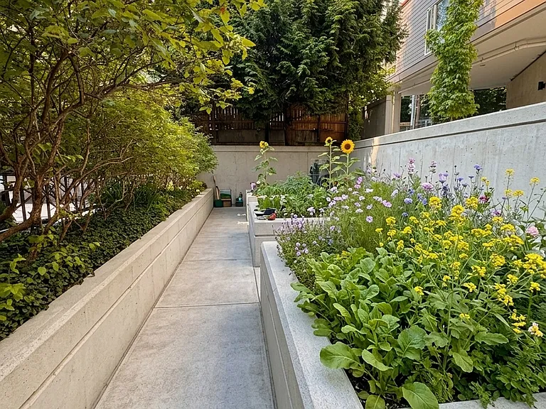 McKinney Manor — Photo 1