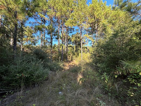 5th image of TRACT 11 Fm 230 Lot 11