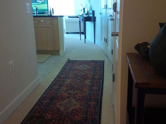 4th image of 820 N Pollard St APT 804