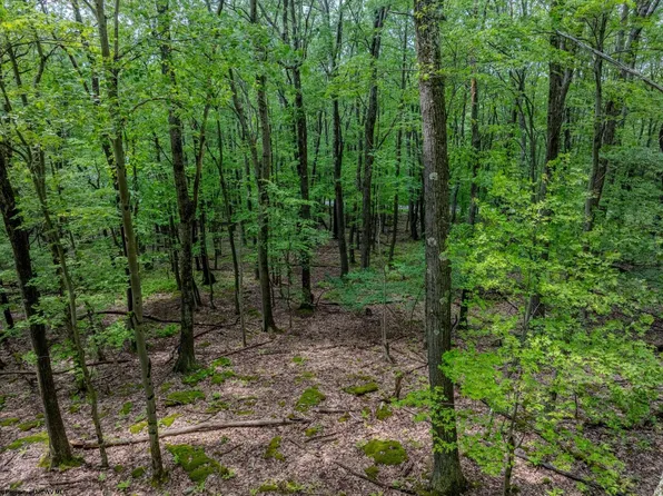 Lots 20 21 22 Greenbrier Ln, Terra Alta, WV 26764