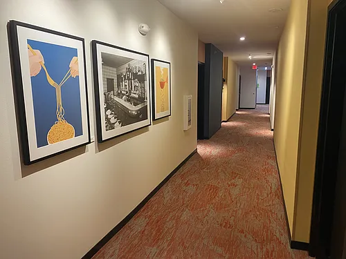 Vicino Apartments Photo 1