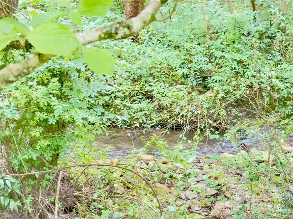 0 Bethlehem Rd, Old Fort, NC 28762