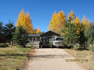 502 N Pine St, Woodland Park, CO 80863