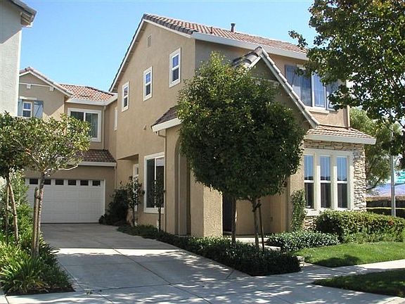 Long Driveway with Privacy