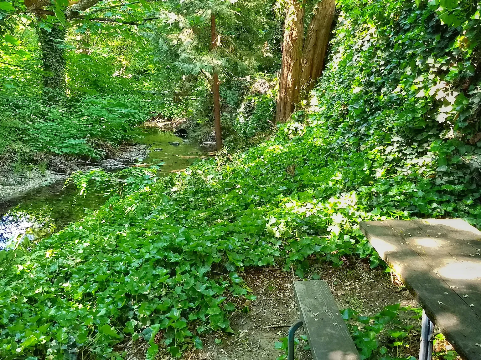 2 bed, 700 sqft, $1,200 — Photo 4