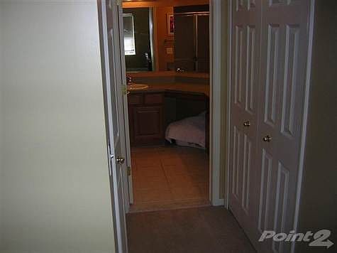 5th image of 6202 Jasmine Dr