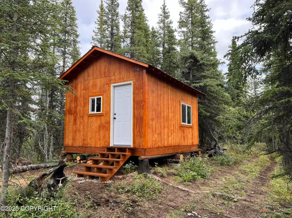 Township Road 8 State Land Survey 2009 #Ak-46, Glennallen, AK 99588