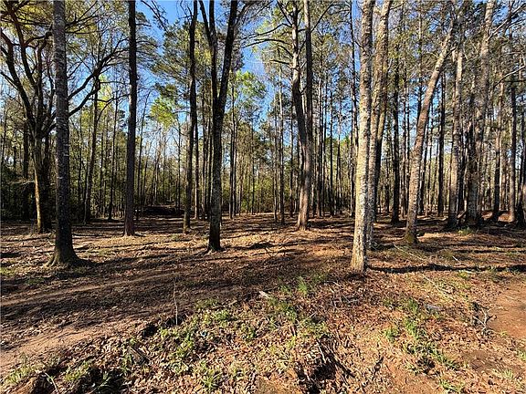 4th image of Tatoo Rd