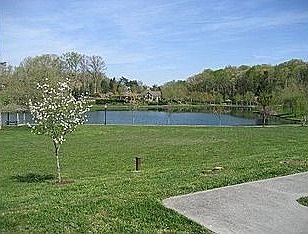  HOA Pond