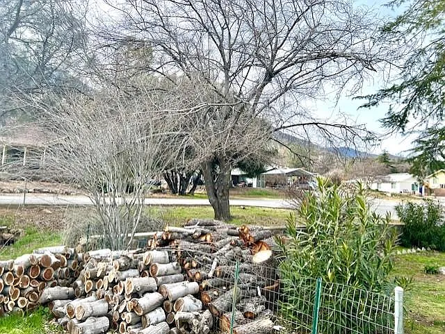 2 Mesa Dr — Photo 37