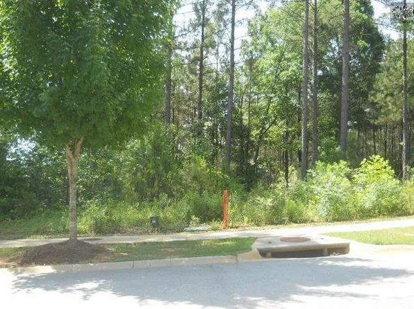 136 Playground Rd, Blythewood, SC 29016