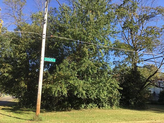 3rd image of Catalpa Dr