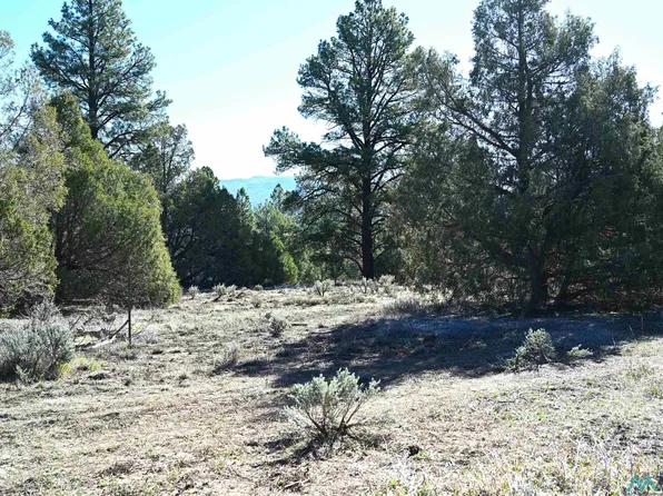 0 Nm Branch Hwy #64, Tierra Amarilla, NM 87575