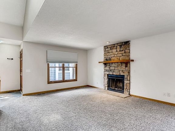 Wood burning fireplace