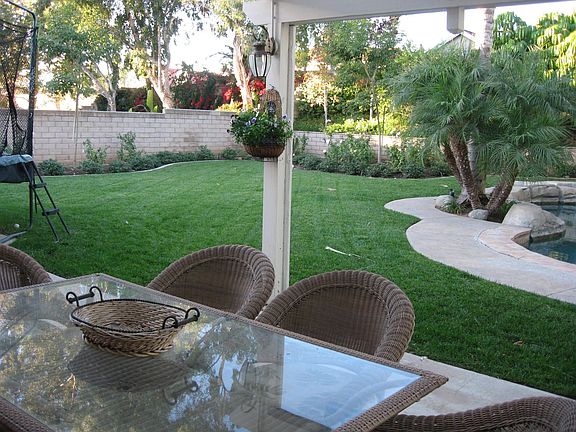 Back yard