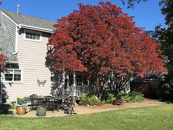 View from back yard