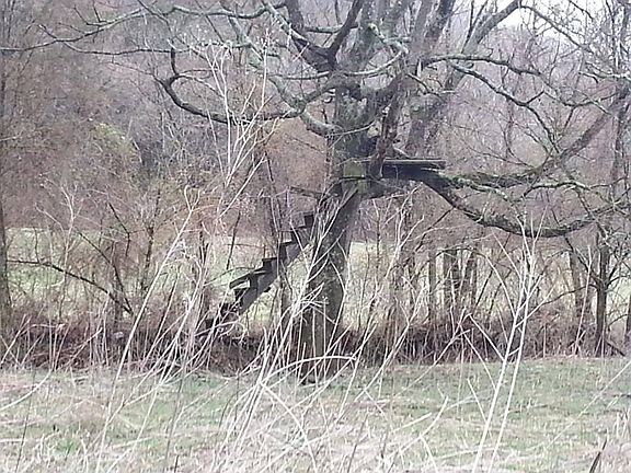 5th image of 0 Old Bottom Rd