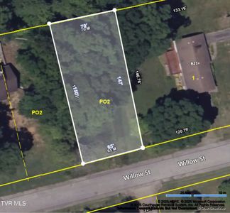 Willow St, Mount Carmel, TN, 37645