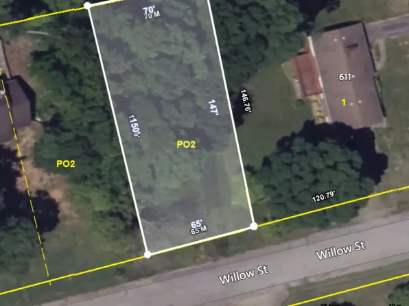 Willow St, Mount Carmel, TN 37645