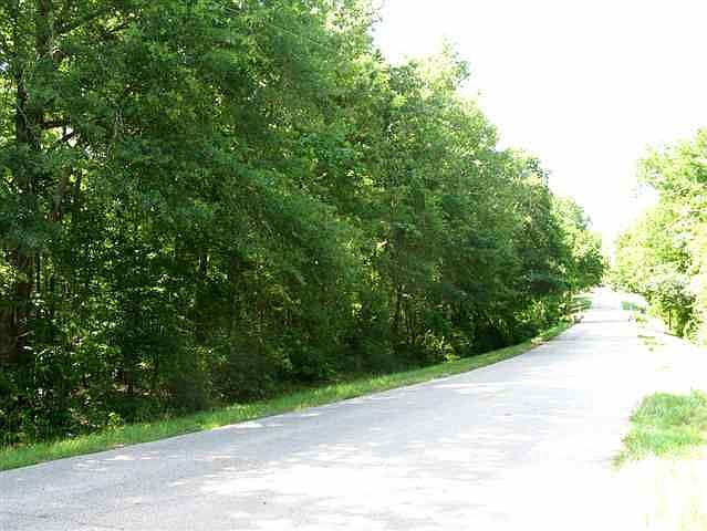 2nd image of Stone Rd
