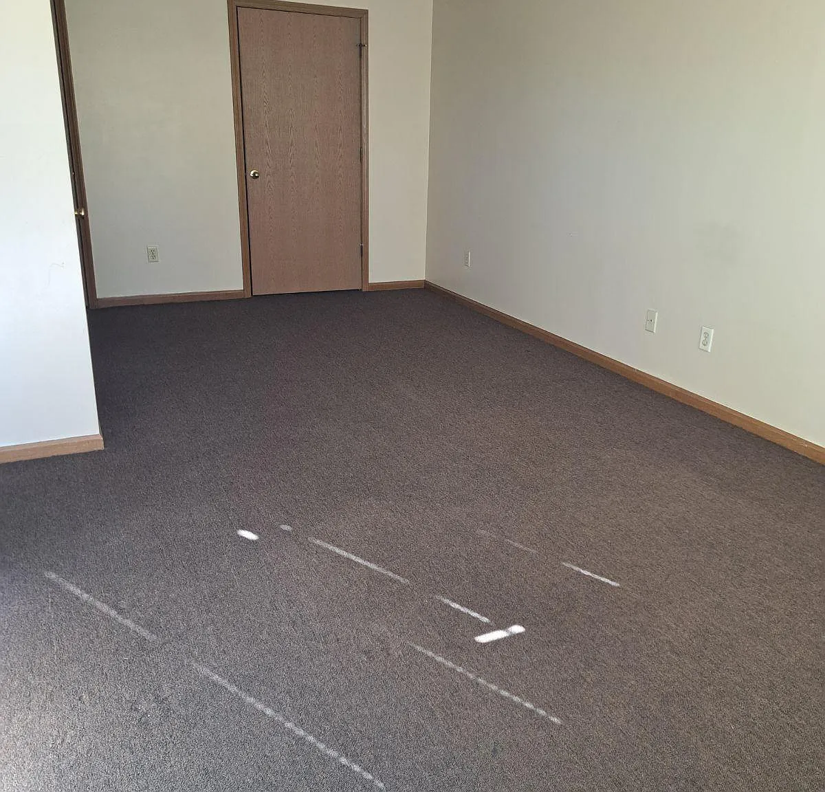 1 bed, 521 sqft, $150 — Photo 2