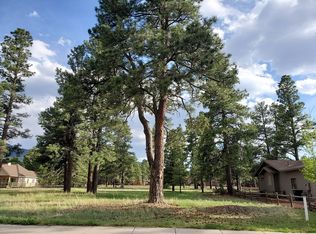 2831 W Burning Tree Dr, Williams, AZ 86046