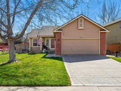 3303 Blue Grass Circle, Castle Rock, CO, 80109