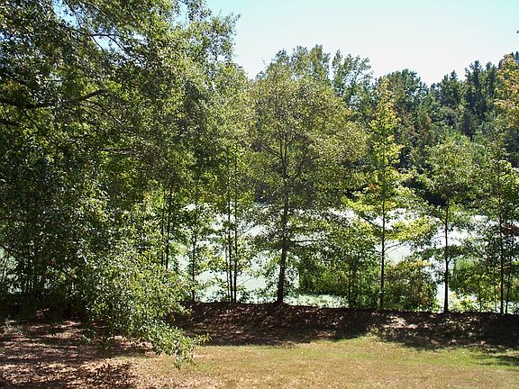 3rd image of 1110 Fieldcrest Ct