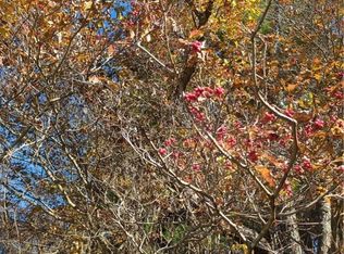 Reynolds Rd, Sparta, NC 28675