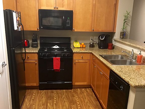 3rd image of 5024 W Frogs Leap Dr APT 1316