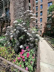 Rented by EXP Realty