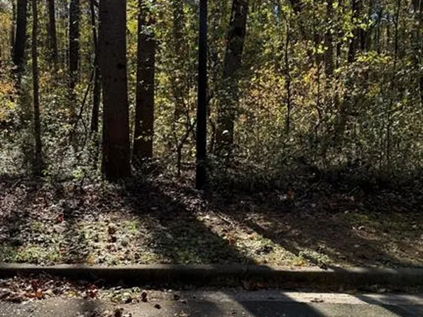 LOT 15 Fairview Springs Dr, Ellenwood, GA 30284