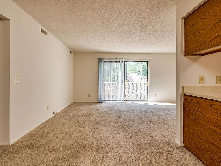Large Living Area (Orchid View)