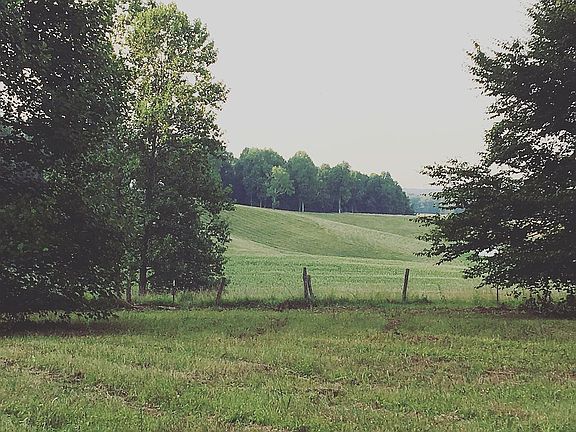 The view 