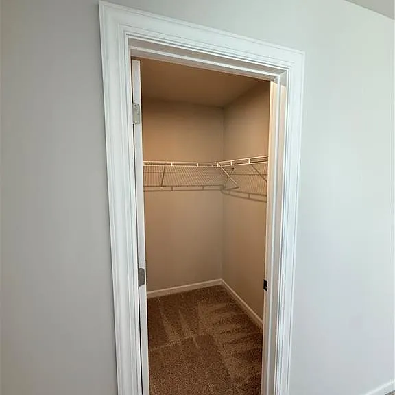 146 Willowfern Ln — Photo 37