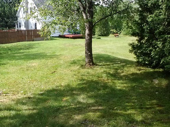 Yard, view from the blueberries