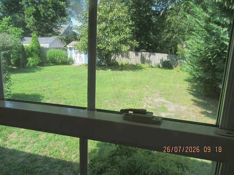 view to yard from den