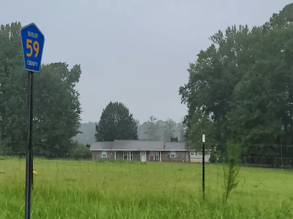 3786 Halso Mill Rd, Greenville, AL 36037