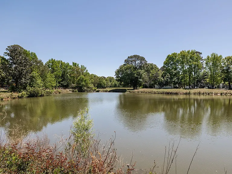 Mulberry Pond — Photo 28