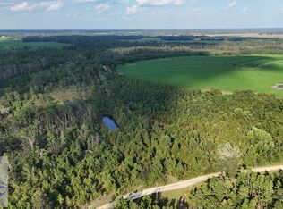 3 Rhonda Coleman Rd, Hazlehurst, GA 31539